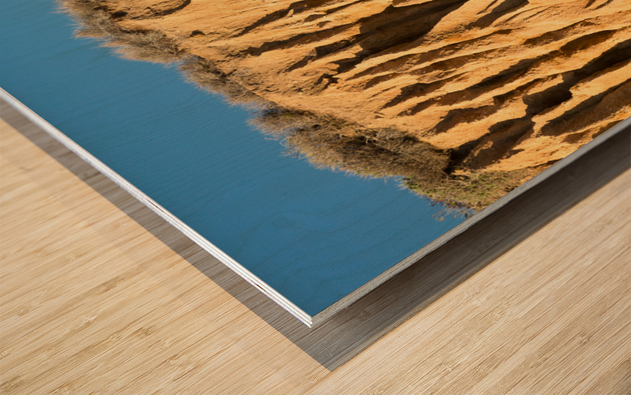 El Matador State Beach California Wood print