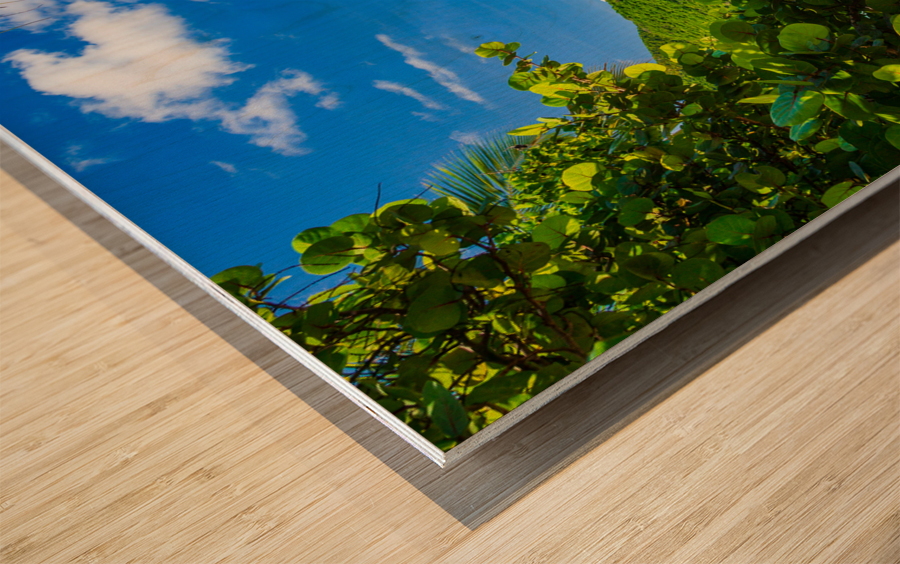 Glorious beach at Anse Marcel on St Martin Wood print