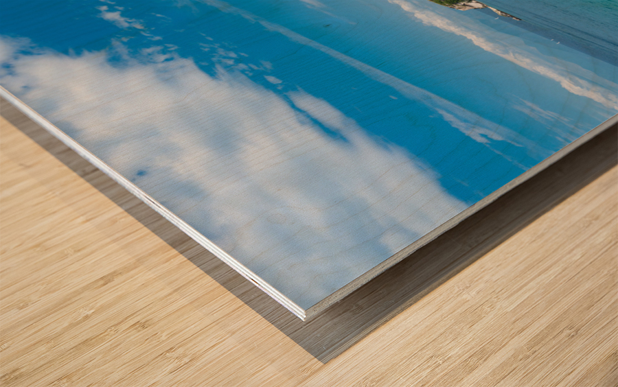 Old Fortress of Corfu on promontory by old town Wood print