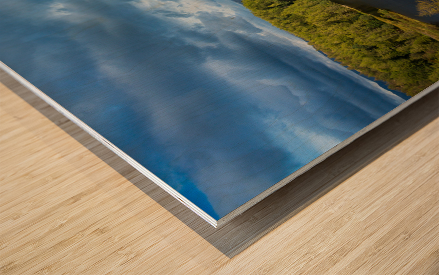 Tarn Hows in English Lake District Wood print