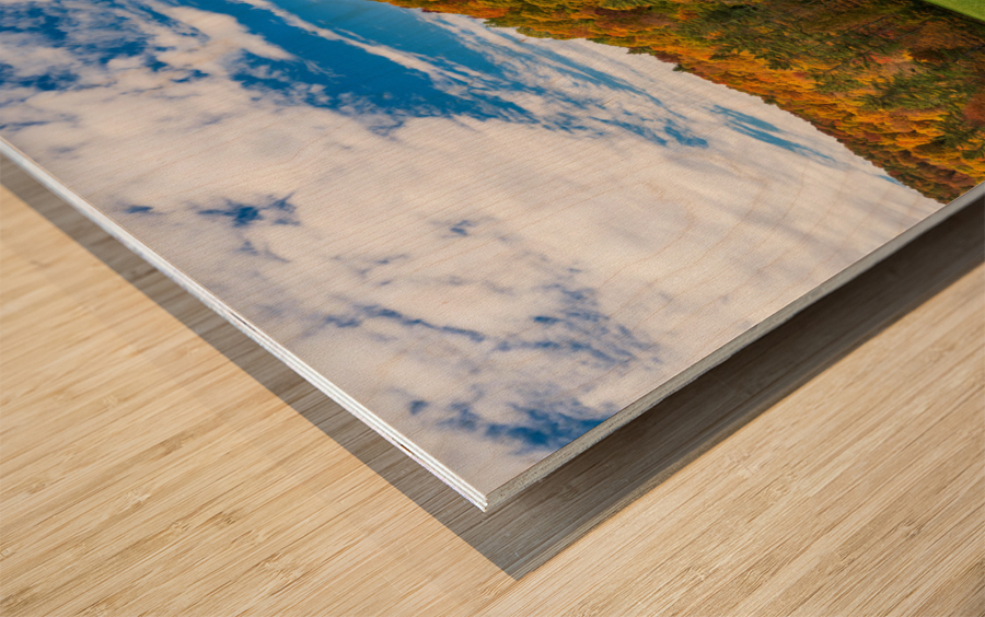 Old tree trunk contrasts with vibrant Vermont fall colors Wood print