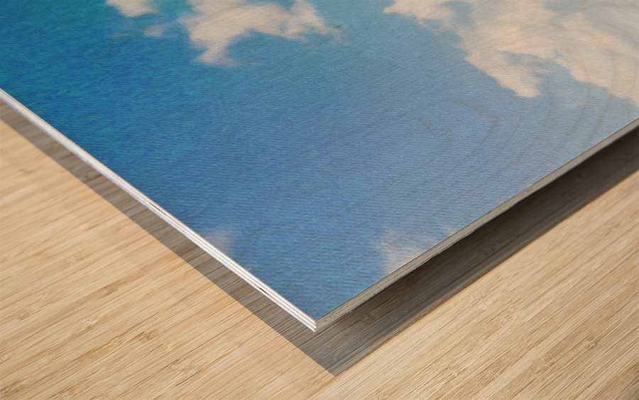 Painting of Cape Florida lighthouse Wood print