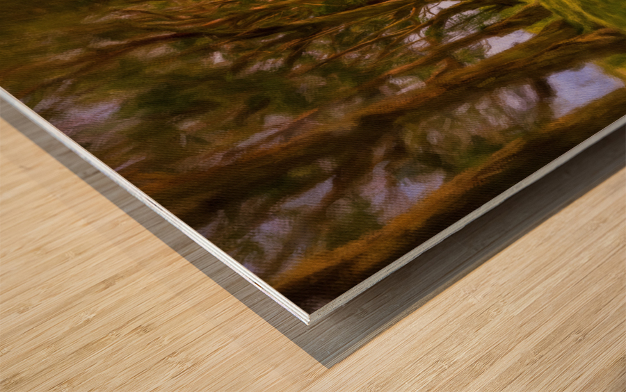 Painting of Tree Tunnel on Kauai Wood print