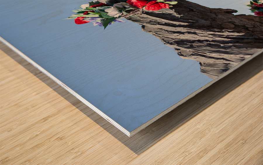 Partisans Statue in Boston MA Wood print