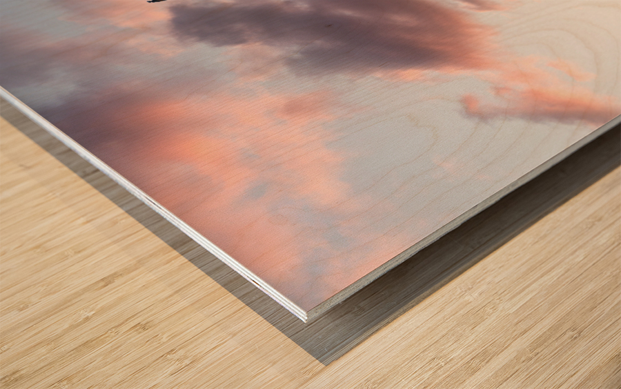 Flag flies in front of Capitol in DC at sunrise Wood print
