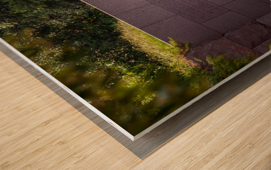 Statue of Roosevelt and dog Wood print