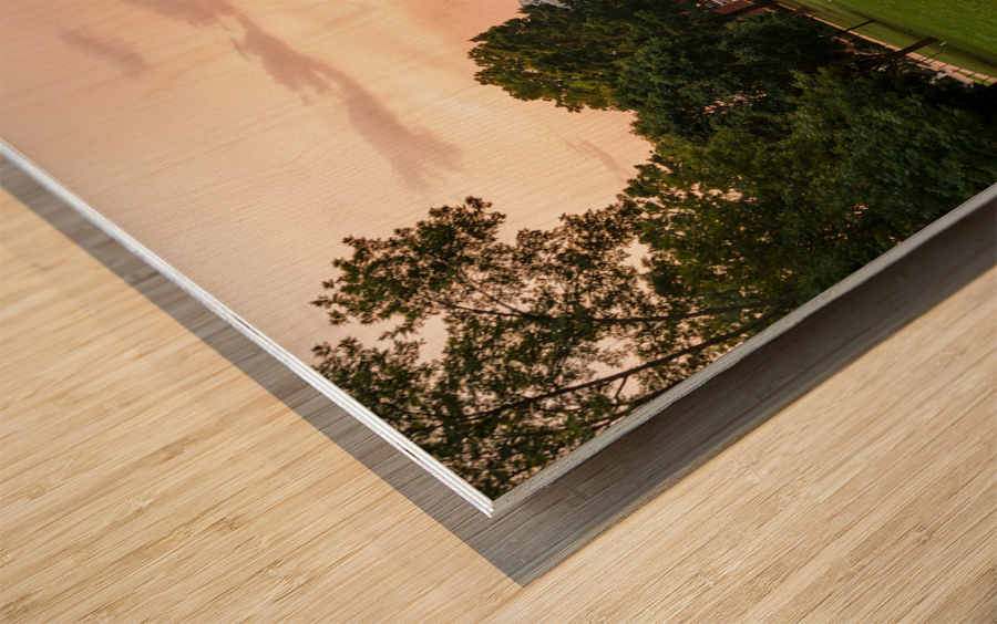 Old Cabell Hall at University of Virginia Wood print