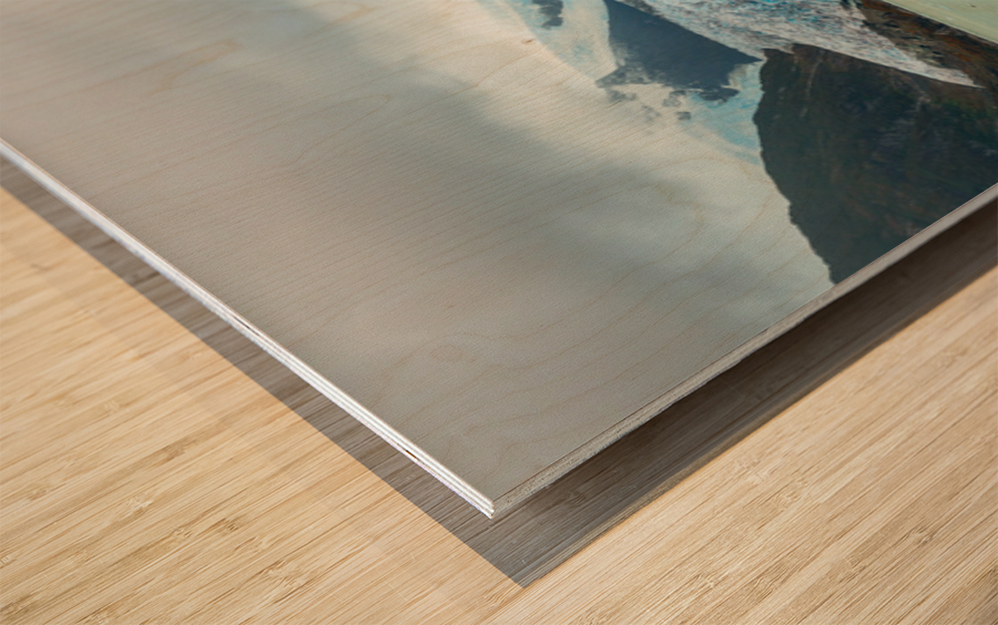 Panorama of Amalia Glacier in Patagonia from Viking cruise ship Wood print