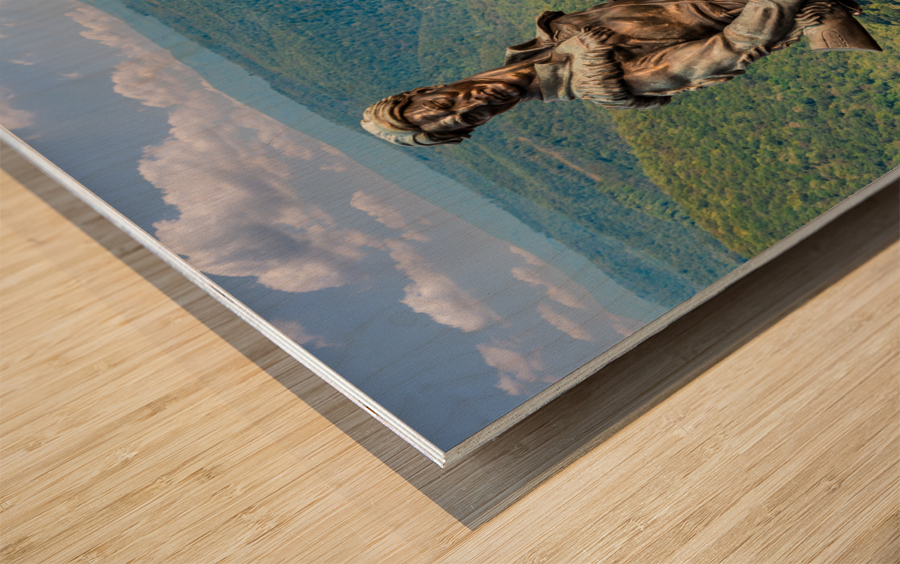 View from Overlook in Snake Hill WMA in WV Wood print