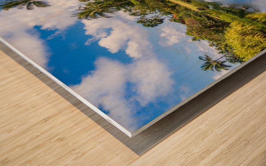 Gorgeous lagoon and lake in the Na Aina Kai sculpture garden Wood print