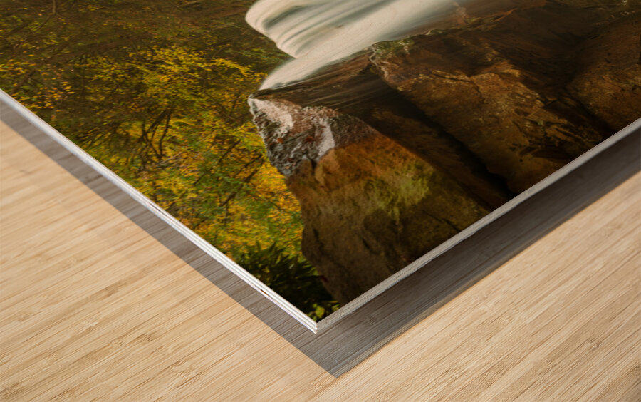 Douglas Falls near Blackwater Canyon trail near Thomas WV Wood print