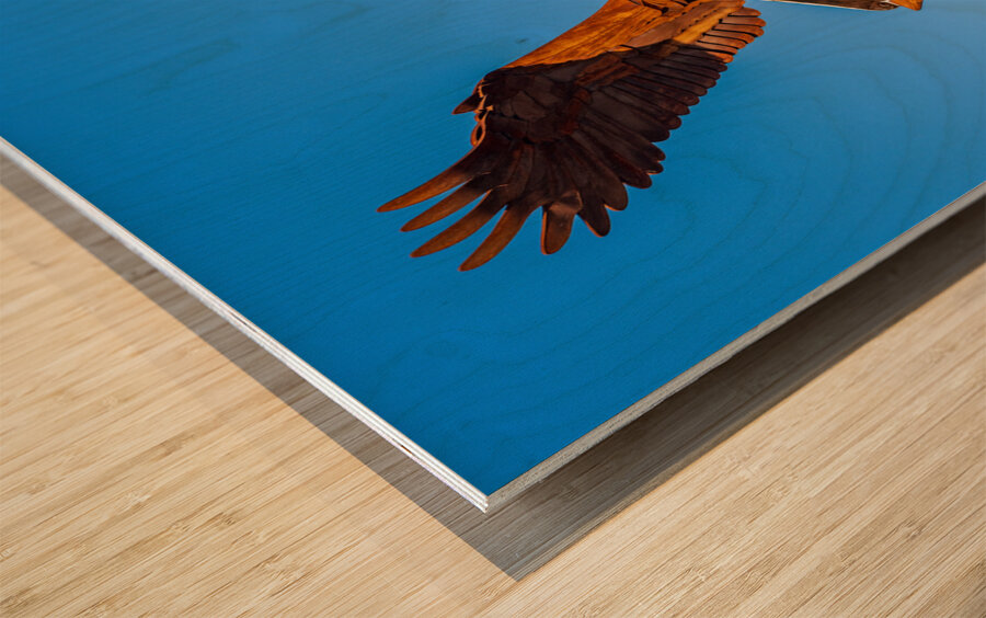 Eagle Landmark sculpture in Riverside Park La Crosse Wisconsin Wood print