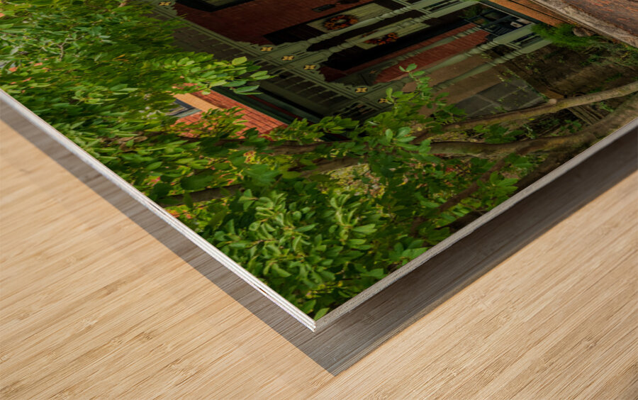 Porch of house on Snake Alley in Burlington Iowa Wood print