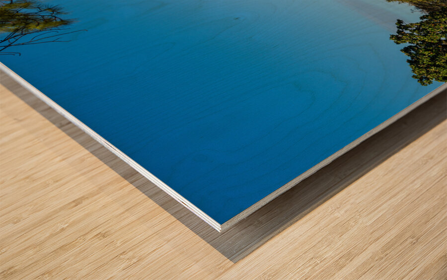 Townscape of Natchez in Mississippi with old bandstand Wood print