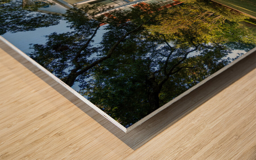 Facade of antebellum home in Natchez in Mississippi Wood print