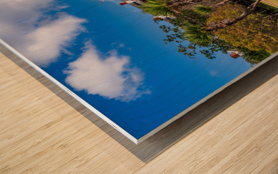 Statue of Major General Andrew Jackson in New Orleans park Wood print